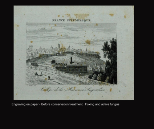 Engraving on paper - Before conservation.
Foxing and active fungus on paper. Engraving on paper - Before conservation.
Foxing and active fungus on paper.